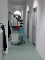 /album/fotogalerie-neuigkeiten/a408192-194111330686858-2050269712-n-jpg/